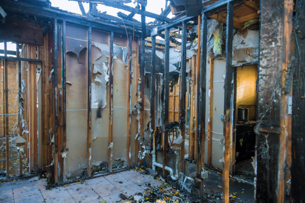 Professional Smoke Damage Restoration technician working in Franklin Park, FL