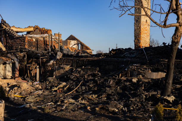 Reliable Smoke Damage Restoration contractor in Franklin Park, FL by Fire Damage Flint